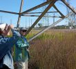 Supporting Monarch Butterflies: Initiatives in Illinois