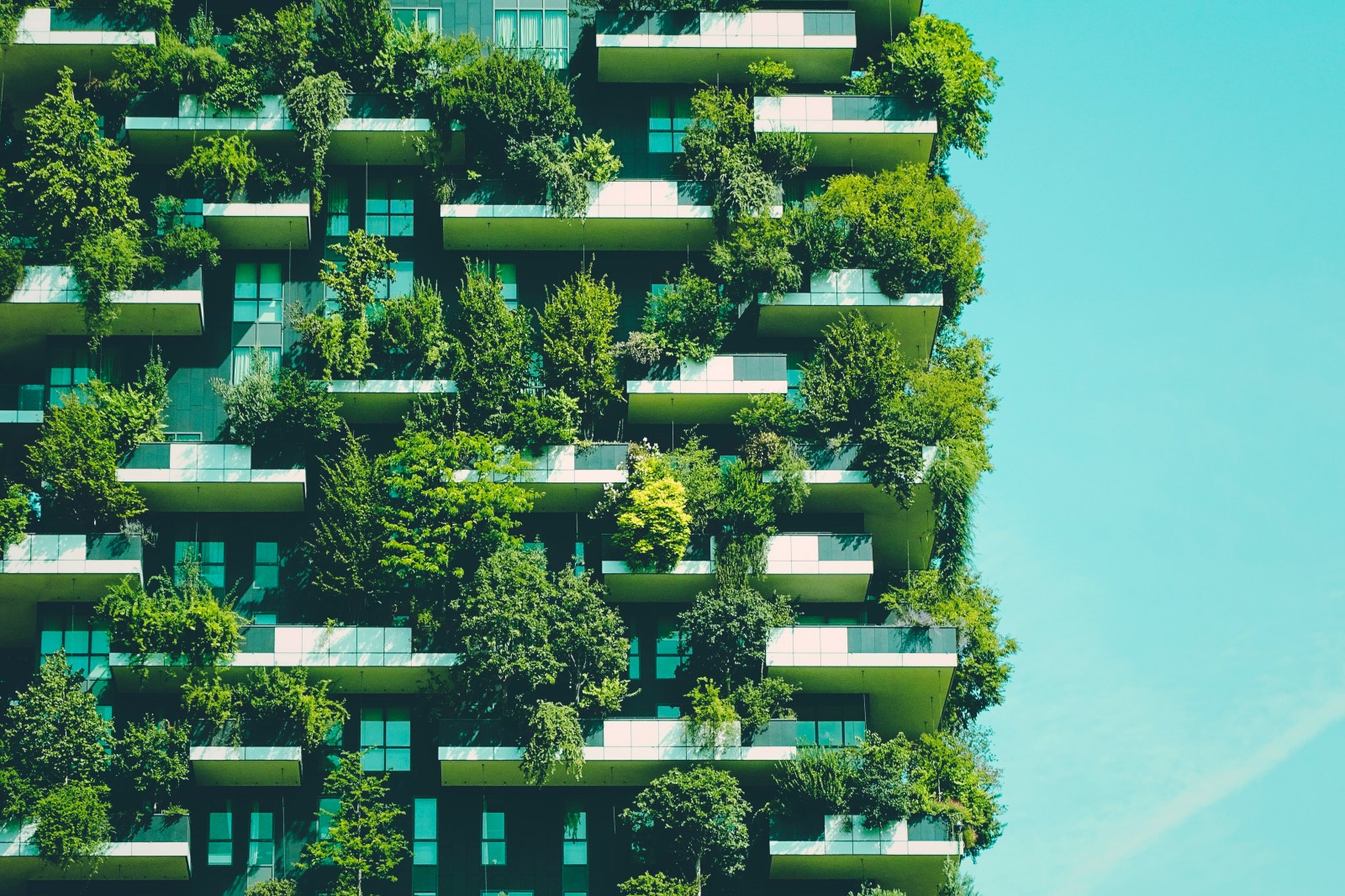 Impact of Residential Green Spaces on Dementia Risk in Older Adults