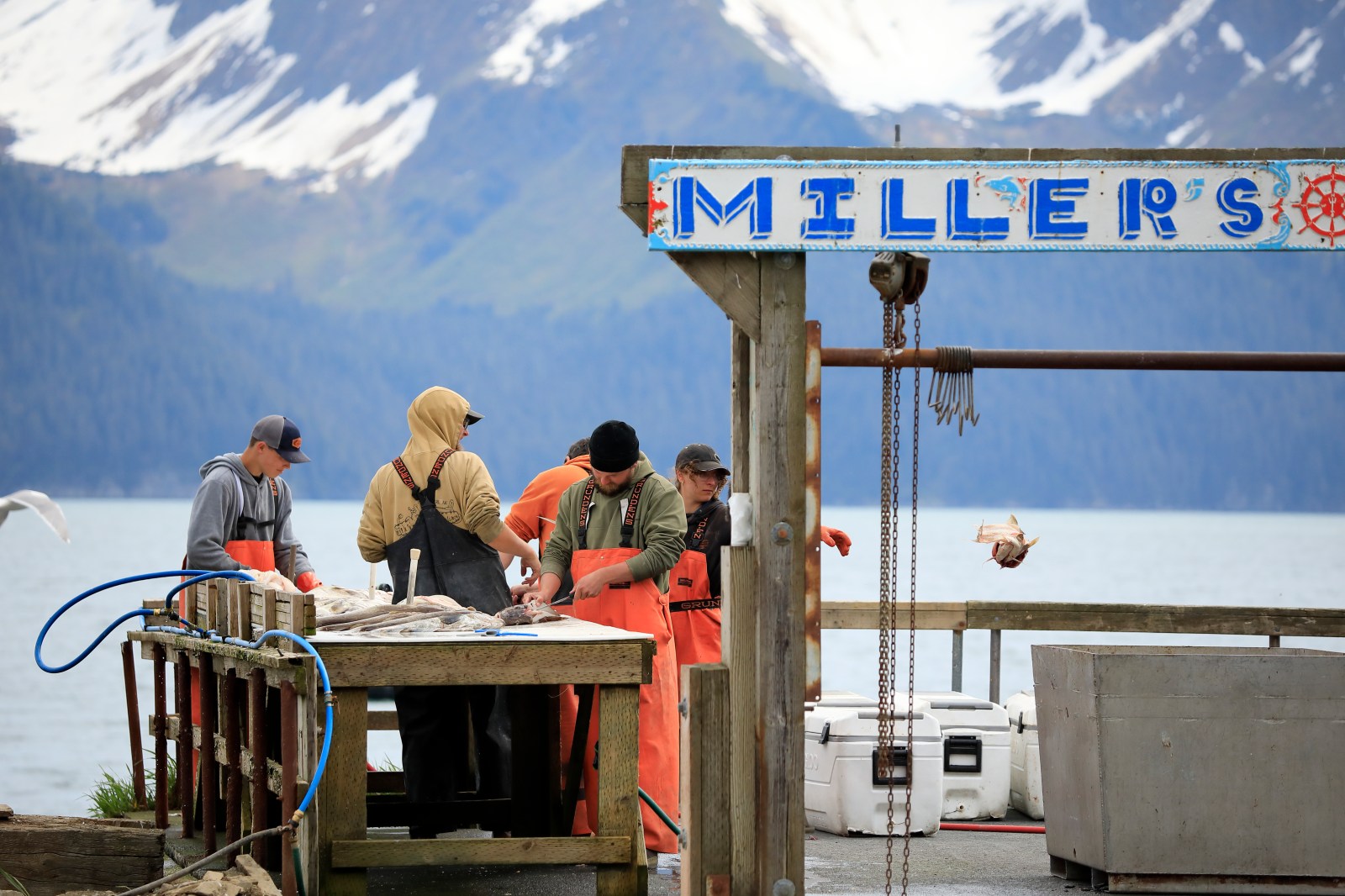 Alaska’s Fisheries Play a Crucial Role in Senate Race