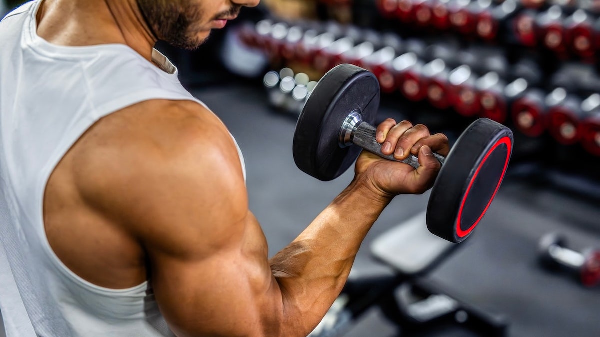 Potential Role of Cialis in Muscle Regeneration