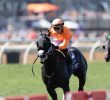 Analyzing Handicapping Mistakes and Predictions for the 2026 Breeders’ Cup