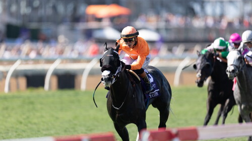 Analyzing Handicapping Mistakes and Predictions for the 2026 Breeders’ Cup