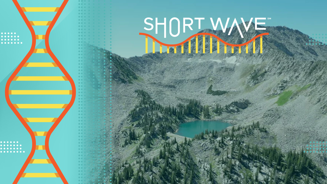 Understanding Rock Glaciers and Their Potential for Water Storage