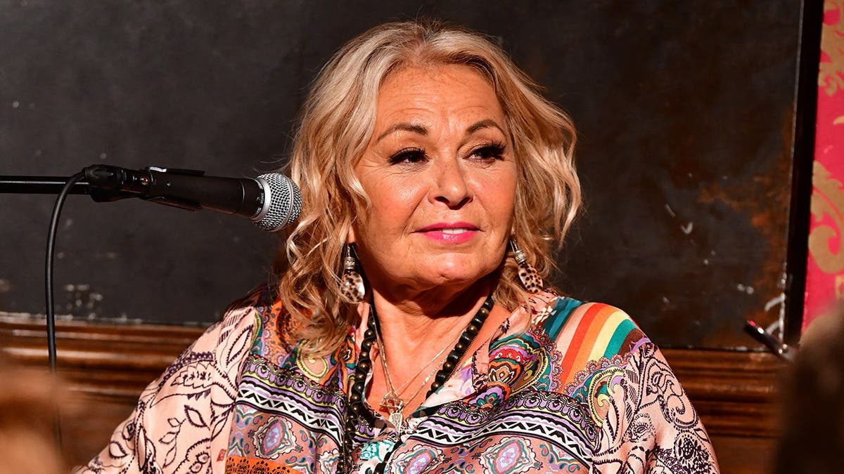 Roseanne Barr’s New Sitcom Venture and Her Past Struggles