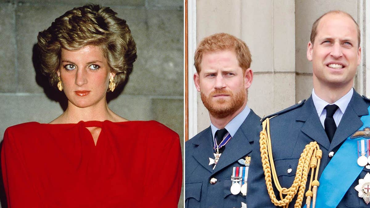 Princess Diana’s Concerns for Her Sons