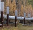 Challenges in Energy: U.S. Policy and Its Impact on Prices