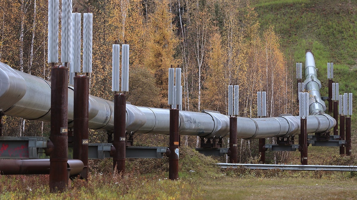 Challenges in Energy: U.S. Policy and Its Impact on Prices
