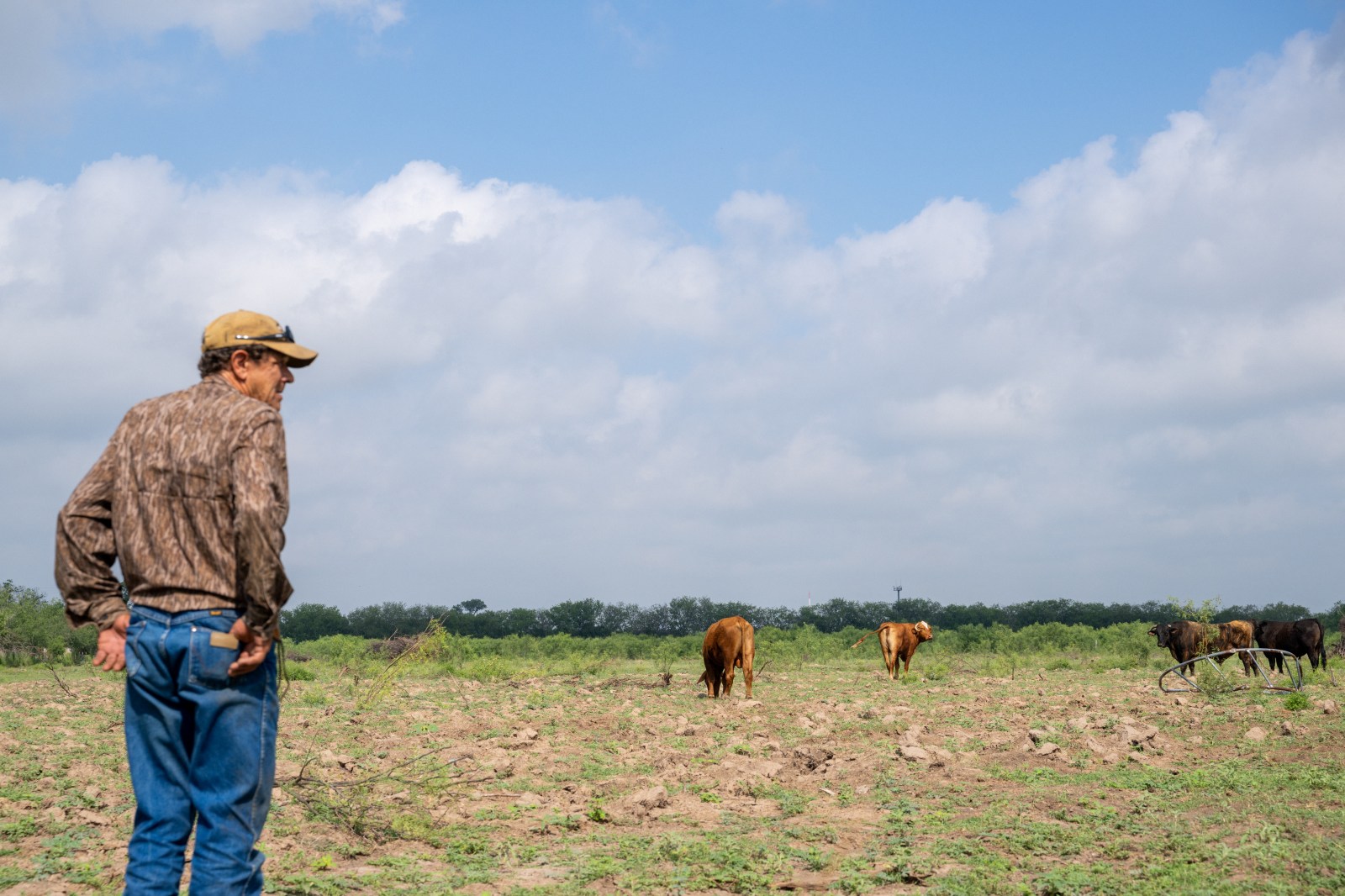 Senate Seats in Key Farm States at Risk Due to Economic Challenges