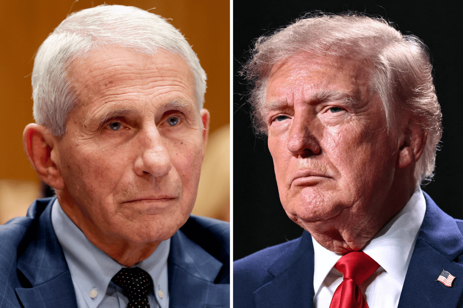 Fauci’s Diary Entries Reveal Private Opinions on Trump