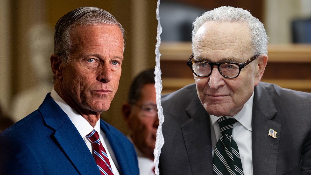 John Thune’s Campaign Efforts and Democratic Challenges