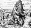New Insights into Early Human Migration to North America