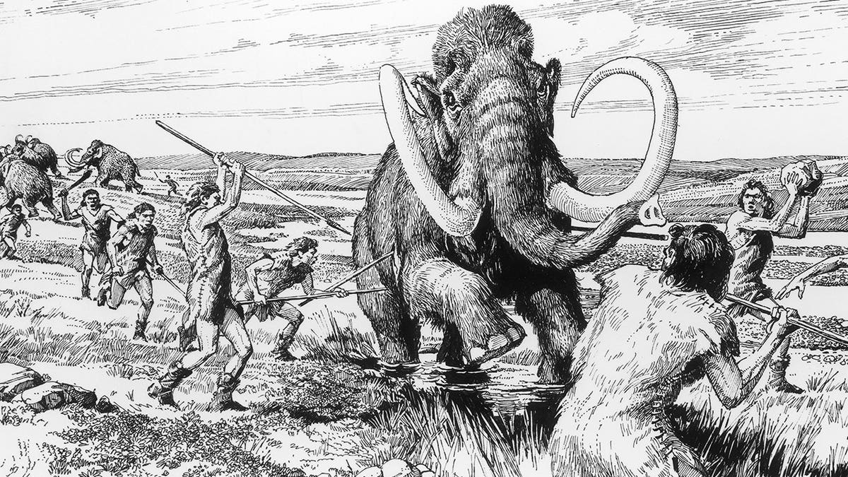 New Insights into Early Human Migration to North America