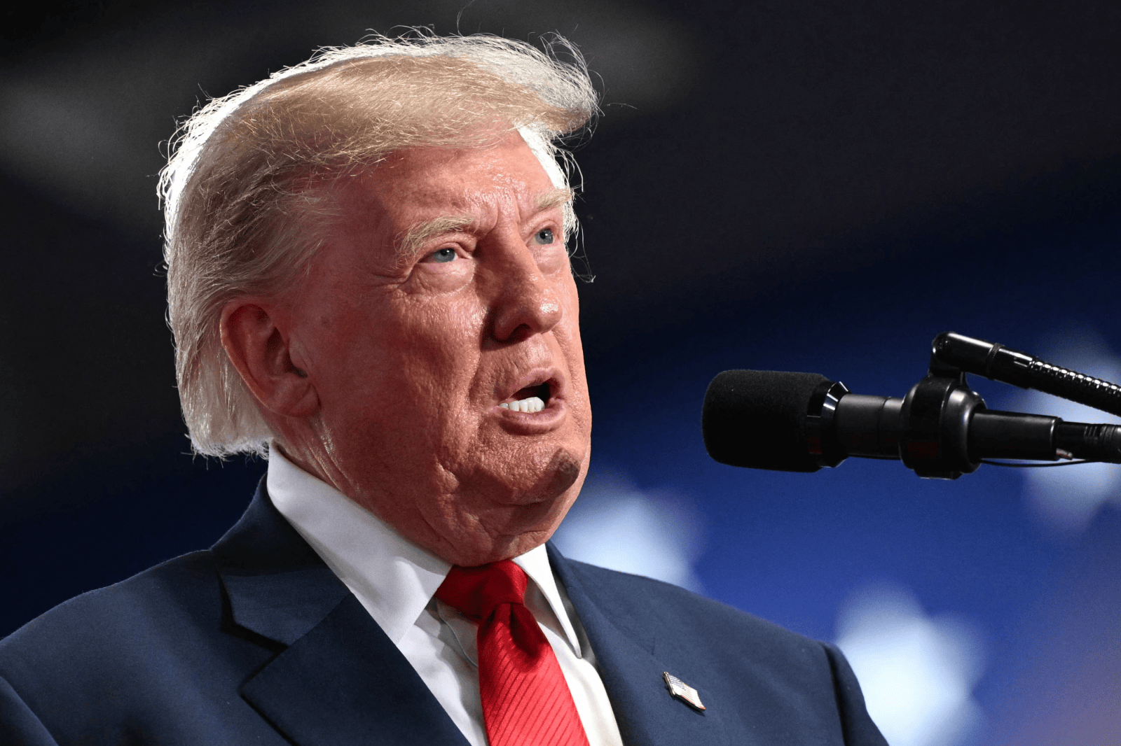 Trump Criticizes Surrogacy Bill at New York Rally