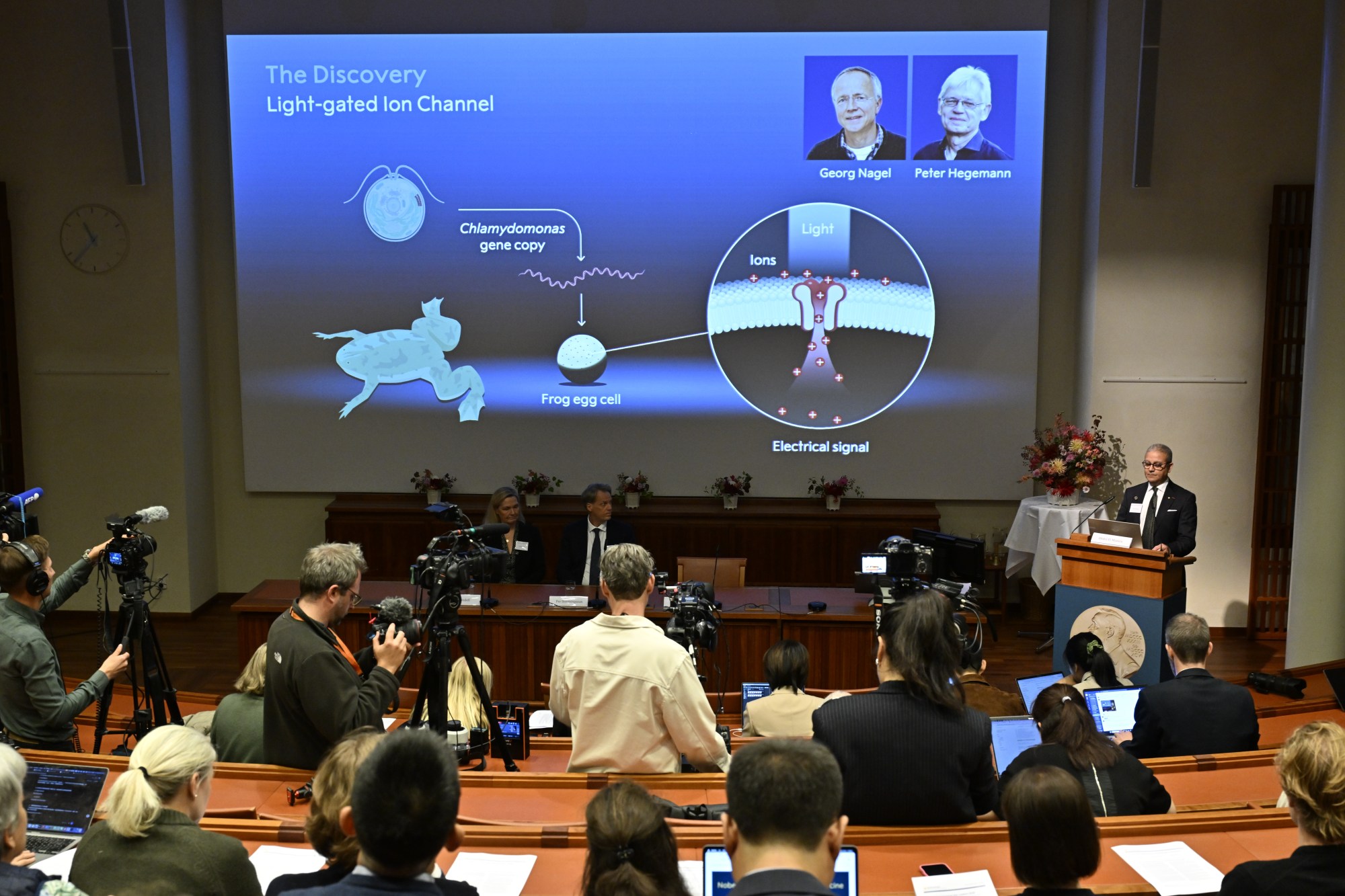 Optogenetics Pioneers Awarded 2026 Nobel Prize in Medicine