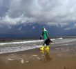 Impact of Deepwater Horizon Spill on Gulf Marine Life