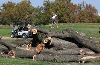 Judge Halts Tree Cutting at East Potomac Golf Links