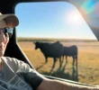 Challenges Faced by Cattle Ranchers Amid Rising Costs and Drought