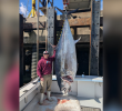 Enormous Bluefin Tuna Shatters New Hampshire Record