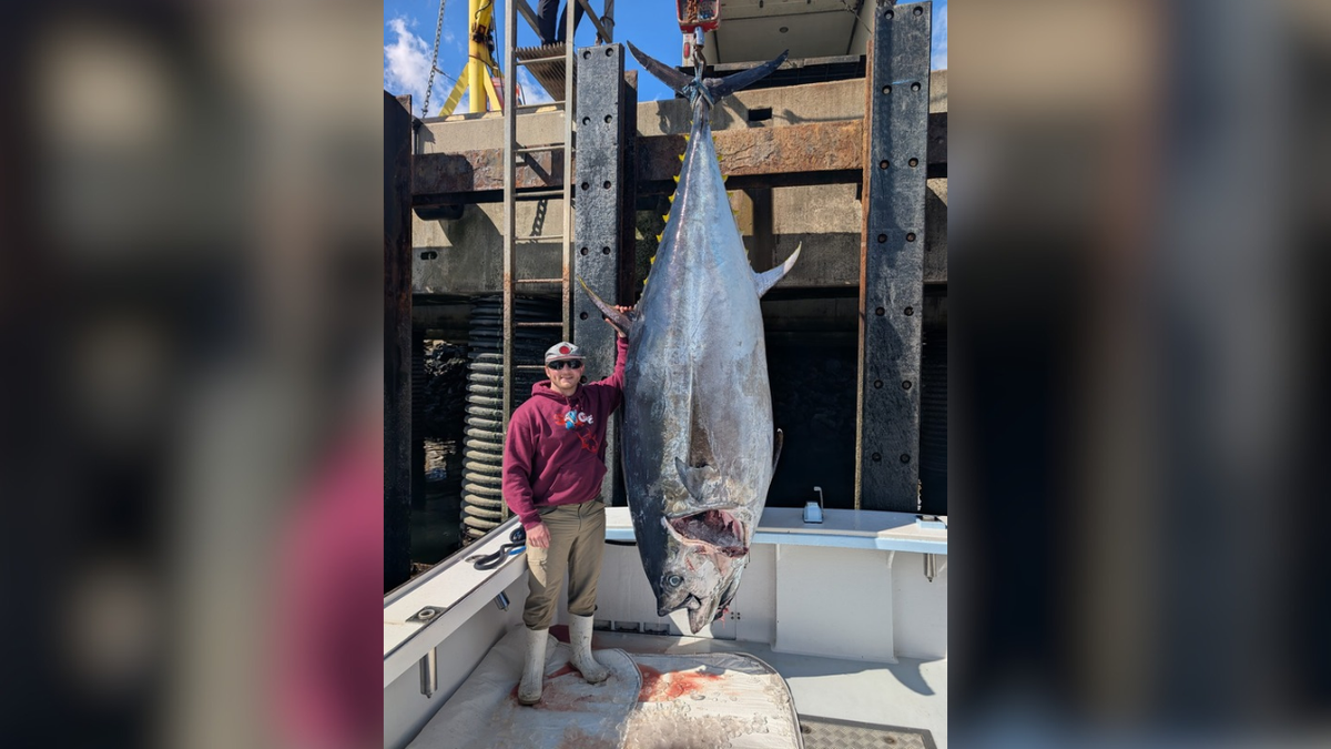 Enormous Bluefin Tuna Shatters New Hampshire Record