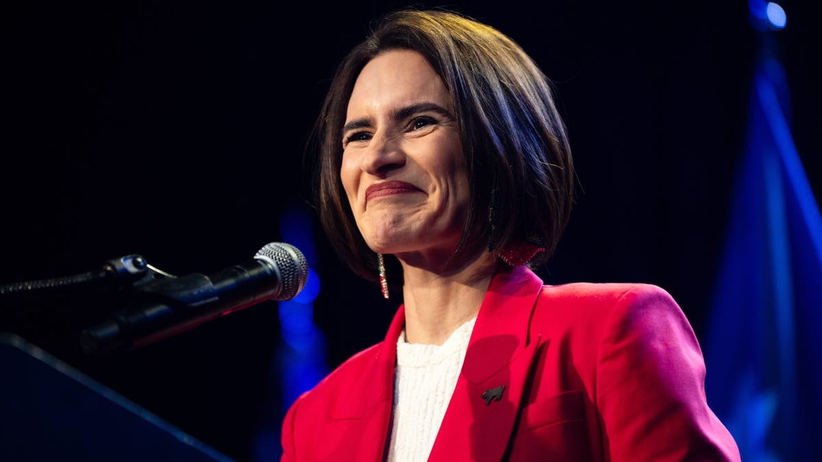 Democrats’ Challenges and Strategies Amid Progressive Promises